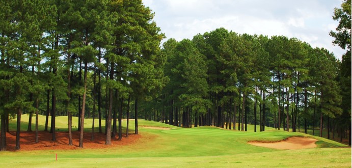 Caswell Pines3