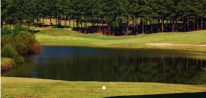 Caswell Pines6